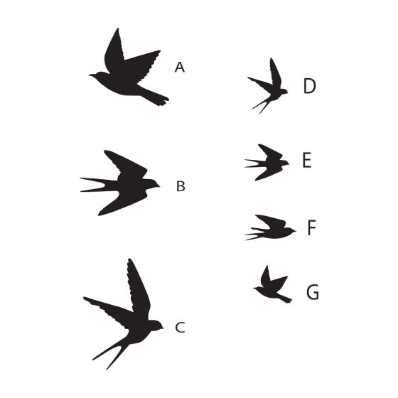 Oiseau décoratif mural en laiton – Plusieurs tailles et finitions