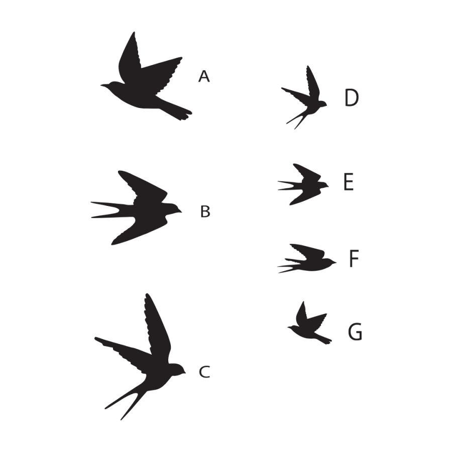 Oiseau décoratif mural en laiton – Plusieurs tailles et finitions